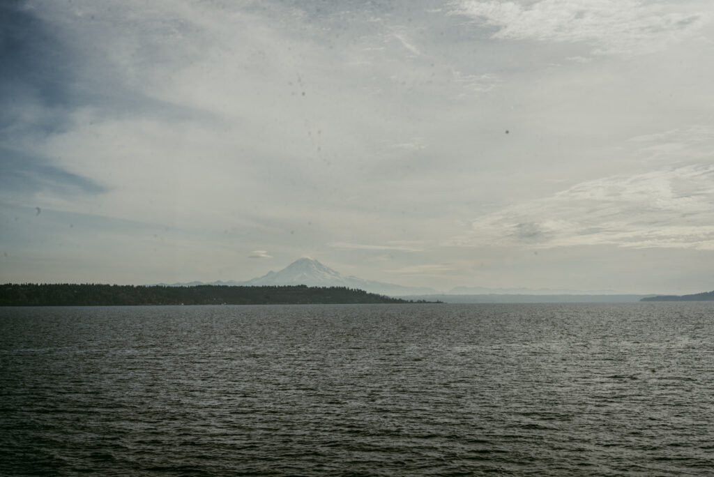 Vue sur une étendue d'eau calme avec une côte boisée et un volcan enneigé à l'horizon sous un ciel nuageux.