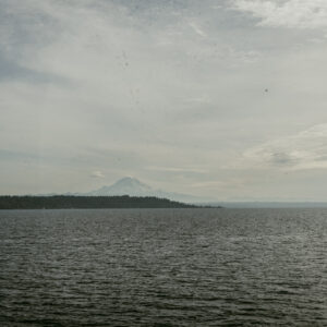 Vue sur une étendue d'eau calme avec une côte boisée et un volcan enneigé à l'horizon sous un ciel nuageux.